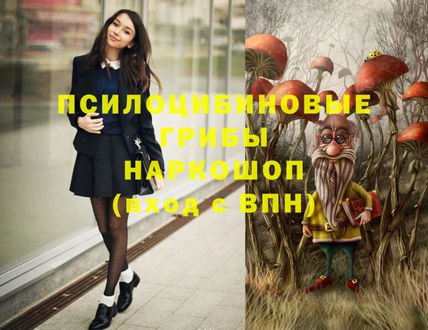 метамфетамин Сатка