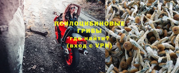 гидропоника Вязьма